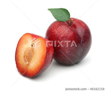 Red plums with leaf isolated on white Red plums with leaf isolated on white 48162138