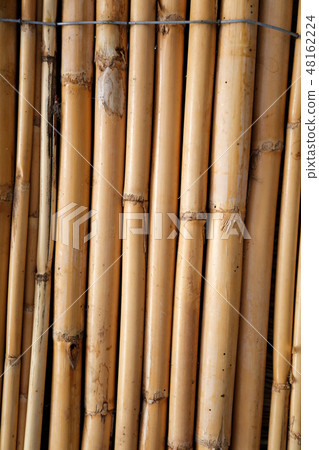 Background of dry reeds, vertical 48162224