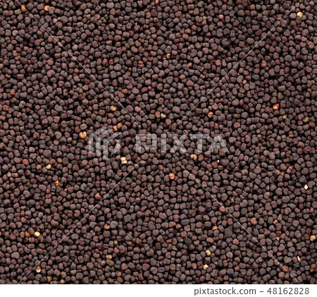 High quality seeds of silene vascaria, in a texture form for your beautiful garden. Can be used by High quality seeds of silene vascaria, in a texture form for your beautiful garden. Can be used by 48162828
