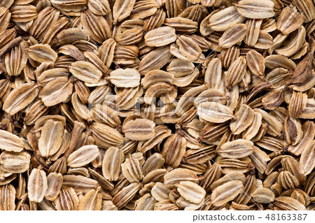 High quality seeds of lovage, in a texture form for your personal garden. Can be used by seed 48163387