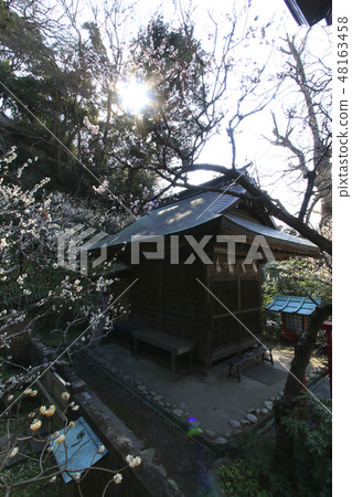 Ebata Tenshin Company 48163458