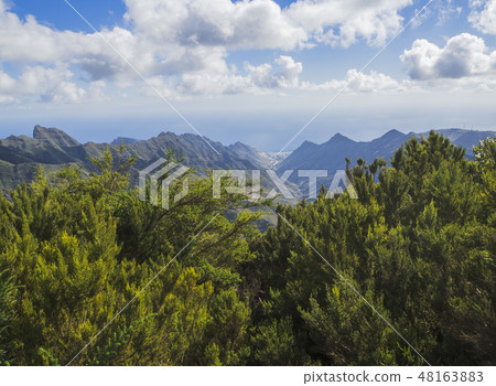 view point in anaga mountain sharp peaks with green cypress bush and dramatic blue sky white clouds view point in anaga mountain sharp peaks with green cypress bush and dramatic blue sky white clouds 48163883
