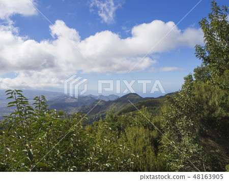 view point in anaga mountain sharp peaks with green cypress bush and blue sky white clouds 48163905