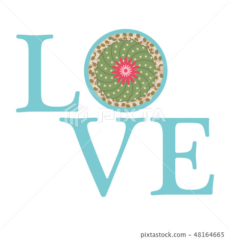 Blooming cactus Love message. Valentine's Day. 48164665