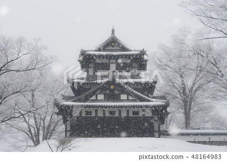 Takada castle 31 48164983