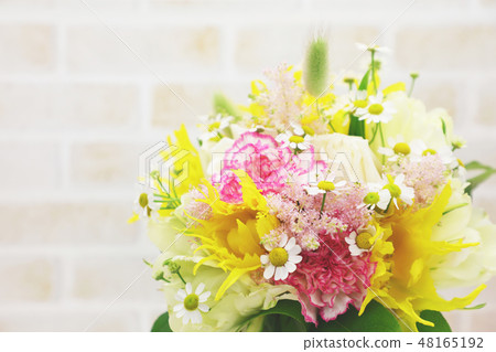 插花(磚牆背) 插花(磚牆背) 48165192