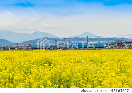 [強姦領域小田急線特快浪漫車60000 MSE] 48165237