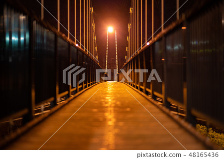 Kinugawa Iwashoi Suspension Bridge 48165436