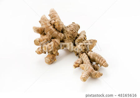 Spring turmeric Spring turmeric 48165616