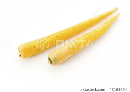 島胡蘿蔔 48165664