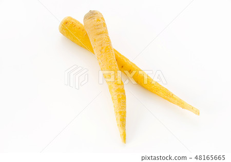 島胡蘿蔔 48165665