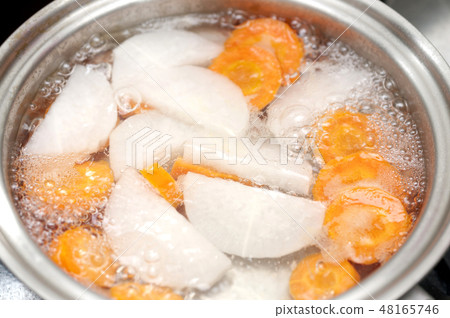 蔬菜（根菜類）博伊爾 48165746