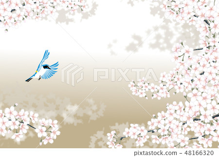 Cherry rulibitaki Cherry rulibitaki 48166320