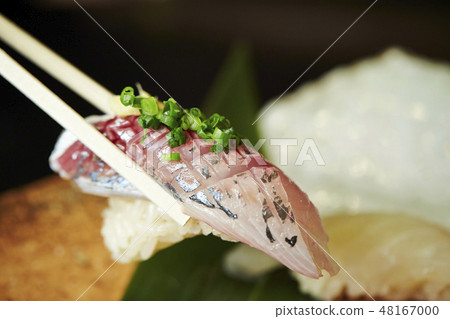沙丁魚壽司沙丁魚 48167000