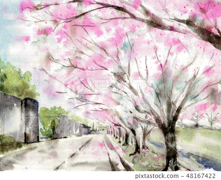 山水綠生態公園~山櫻花.八重櫻.寒櫻多種櫻花一次賞完@Bernice的