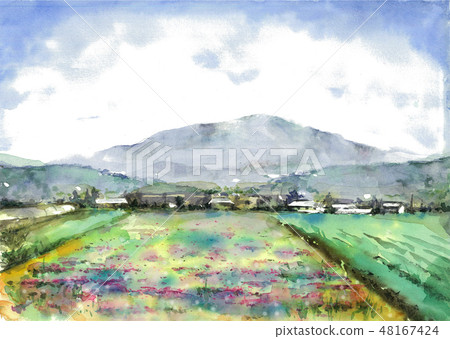 Astragalus field countryside landscape painting 48167424