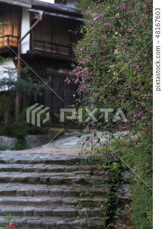 Nakasendo / Wife Hostel 48167603