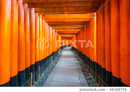 Beautiful fushimi inari shrine temple in Kyoto Beautiful fushimi inari shrine temple in Kyoto 48168726