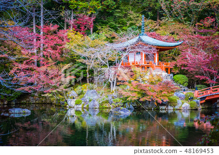 Beautiful Daigoji temple with colorful tree and leaf in autumn season Beautiful Daigoji temple with colorful tree and leaf in autumn season 48169453