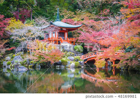 Beautiful Daigoji temple with colorful tree and leaf in autumn season 48169981