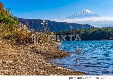 Beautiful landscape of mountain fuji with maple leaf tree around lake 48172420