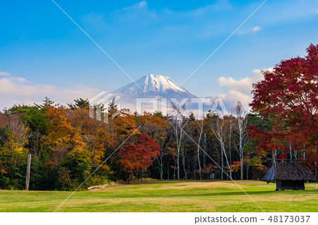 Beautiful landscape of mountain fuji with maple leaf tree around lake Beautiful landscape of mountain fuji with maple leaf tree around lake 48173037