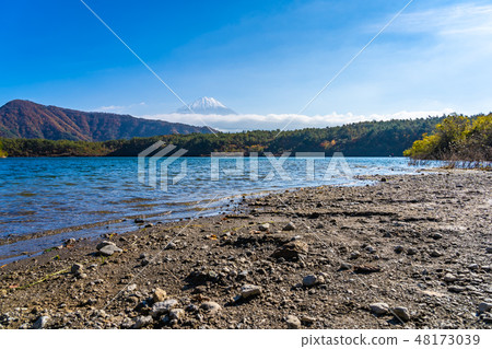 Beautiful landscape of mountain fuji with maple leaf tree around lake 48173039