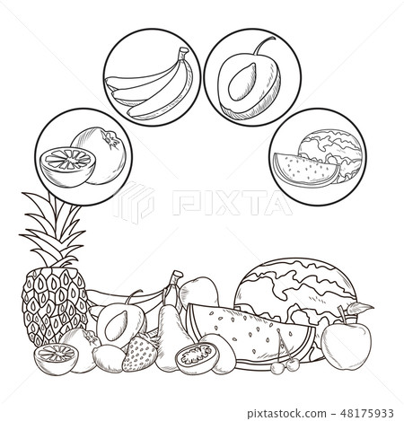 hand drawn fruits hand drawn fruits 48175933
