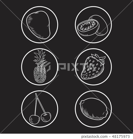 hand drawn fruits 48175973