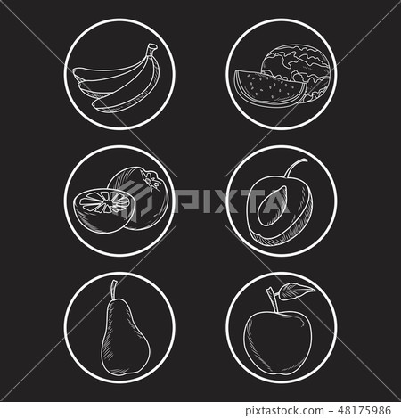 hand drawn fruits 48175986