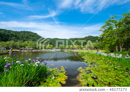 Ayame pond park 48177273