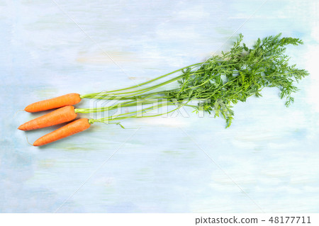 An overhead photo of vibrant organic carrots with green leaves, shot from above on a teal background 48177711
