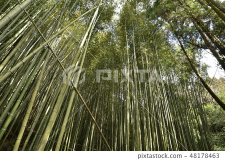 Longmen Falls and Long Moonzaka 48178463