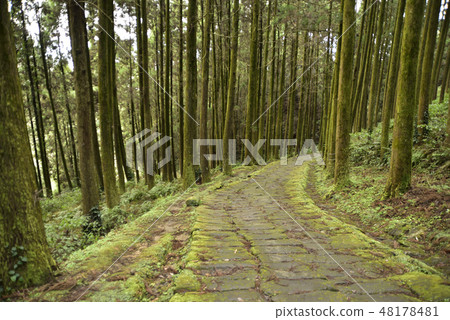 龍門瀑布和龍月坂 48178481