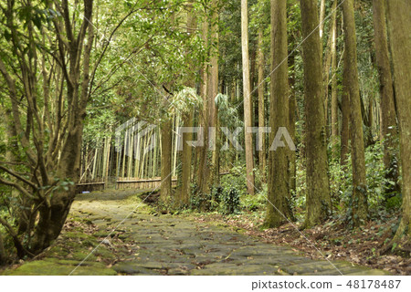 龍門瀑布和龍月坂 48178487