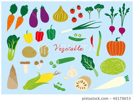 vegetable set 48178653