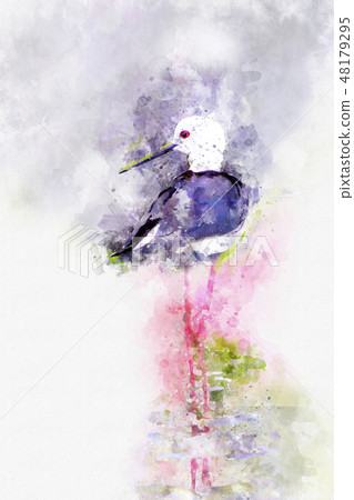 Black-winged Stilt with watercolor art. 48179295