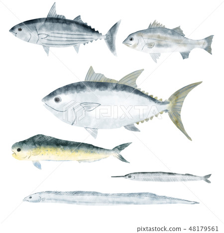 Sea creatures Fish shop 2 48179561