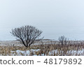 The winter 48179892