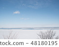 Drift ice in the Sea of Okhotsk | The natural beauty that colors winter in Abashiri and Shiretoko 48180195