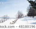 Winter scenery 48180196