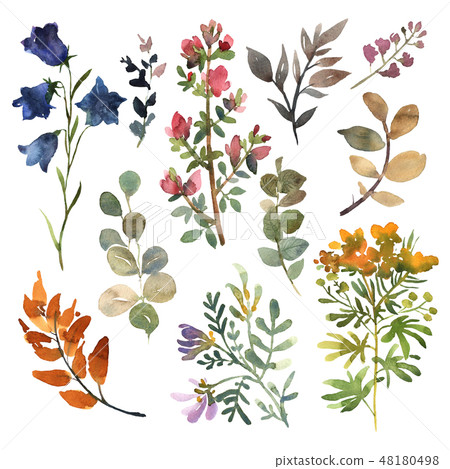 Watercolor flowers hand drawn colorful beautiful floral set with blossom plant for cards prints and 48180498