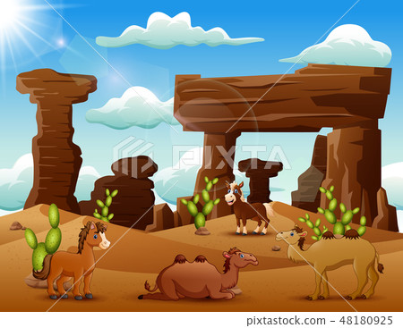 Cartoon horse and camels enjoying on the desert Cartoon horse and camels enjoying on the desert 48180925