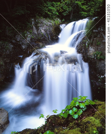 Shooting the scenery of the early summer of the Mitsuro Falls in Otaki-ku, Date City, Hokkaido 48181050