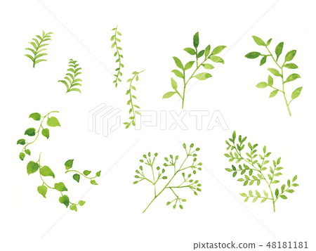 Water color green set 48181181