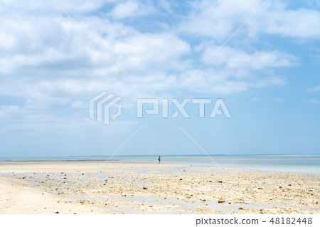 Condoi Beach 48182448