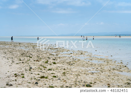 康多海灘 48182451