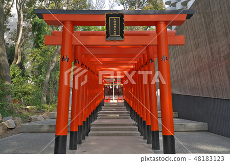 [Ikuta Shrine, Ikuta Inari Daimyojin] 1 Shimoyamate-dori, Chuo-ku, Kobe-shi, Hyogo 48183123