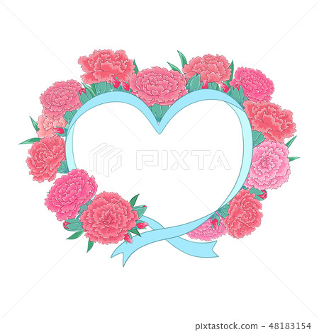 康乃馨朵組合的花圈 康乃馨朵組合的花圈 48183154