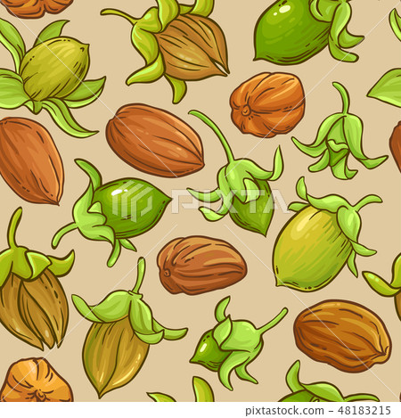 jojoba vector pattern 48183215